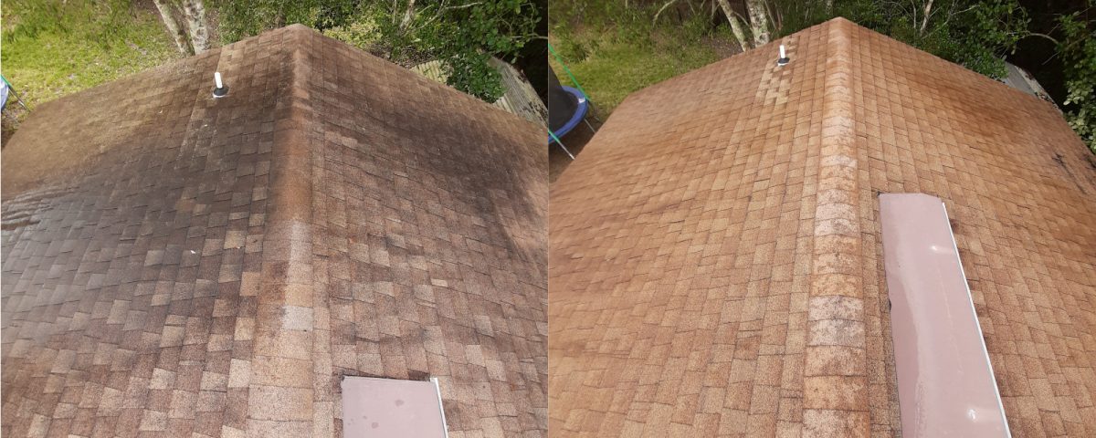 roof cleaning before and after