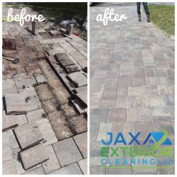 paver walkway before and after